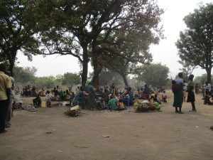 Refugees living under trees with no shelter