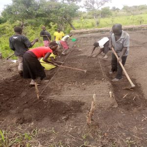 Tiyu ko Ngun agriculture group preparing veg beds for transplanting seedlings.