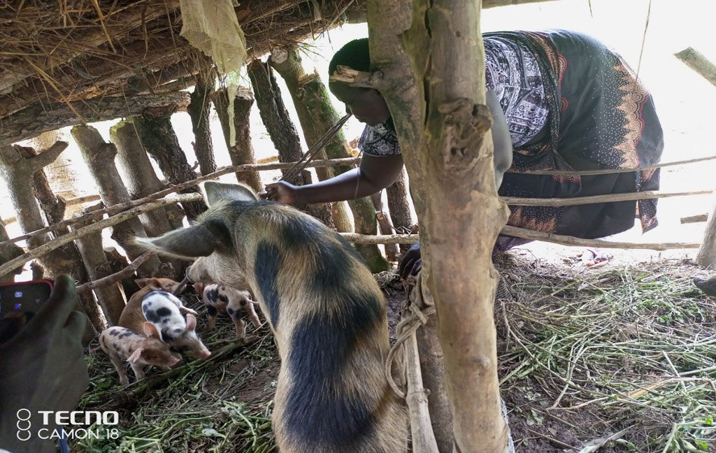 Photograph of Jesilen Yongale, member of Joyful agric/VSLA group taken near her pig's project