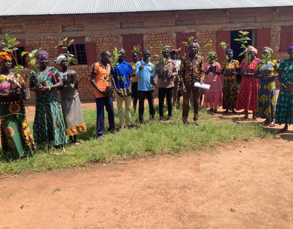 Mijale group members receiving their tree saplings