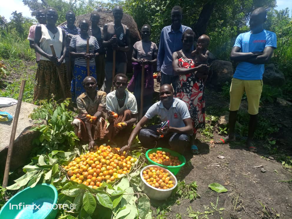 Agriculture officer & members of Momorundita agriculture group in Mijale sorting their harvested tomatoes.