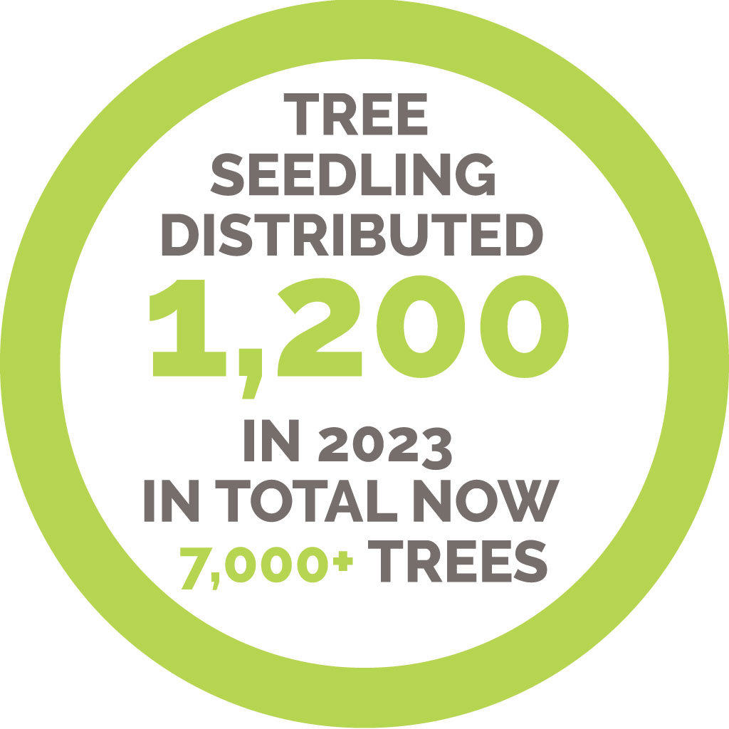 1200-new-trees