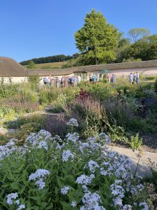 picture of a garden with people in background under grey patio umbrellas. White and blue flowers in foreground. Blue sky with no clouds, sun behind.