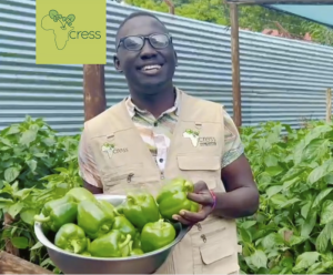 Man smiling in khaki top. Holding bowl of green peppers