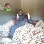 Man sits on harvest corn. He is holding one in each hand and smiling