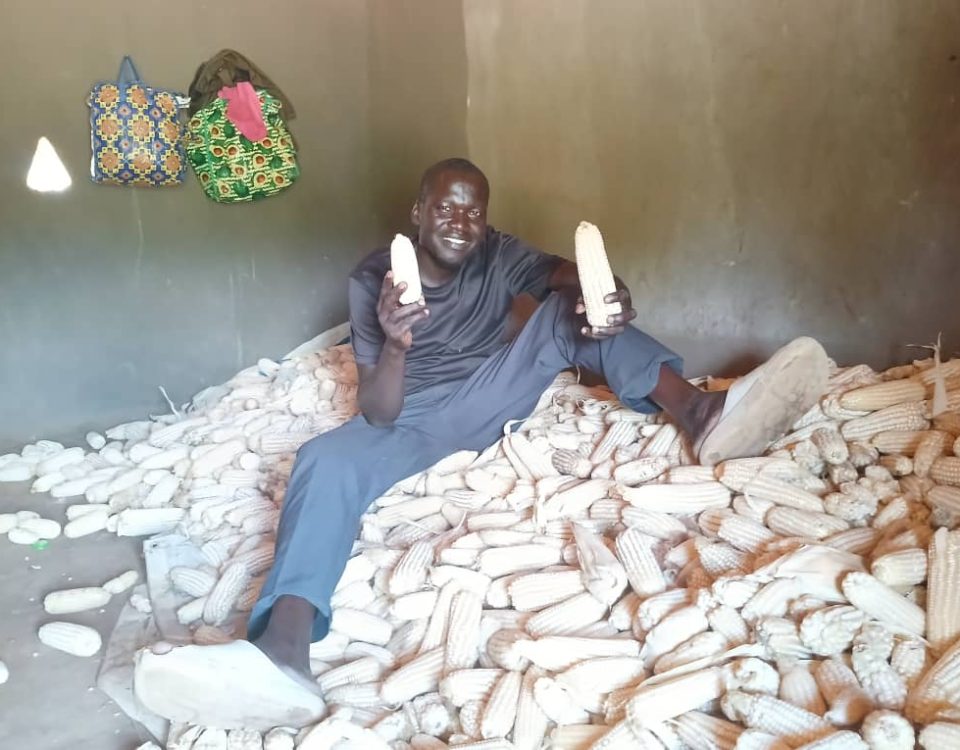 Man sits on harvest corn. He is holding one in each hand and smiling