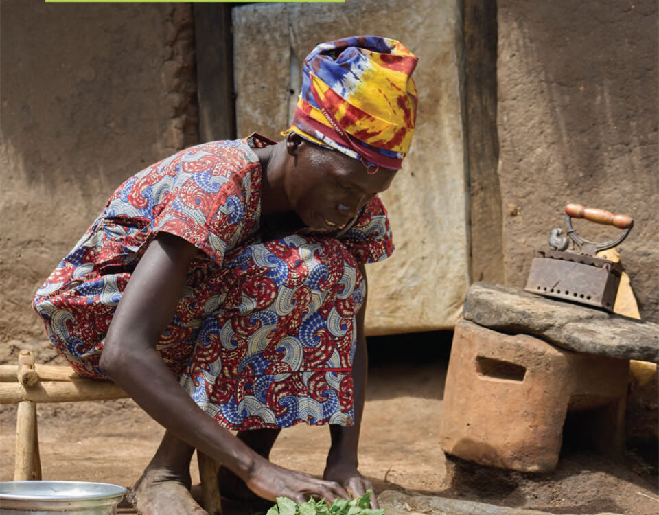 CRESS Annual Report 2025