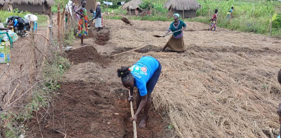 woman wearing blue tshirt digging a trench in clay coloured soil. She is digging on the edge of a prepared garden plot covered with dry grass.